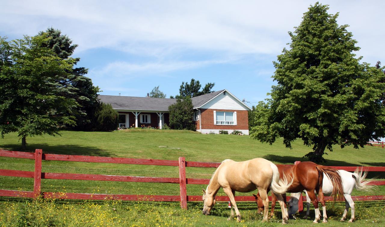 Bed and Breakfast Ranch St-Hubert Saint-Hermenegilde Экстерьер фото